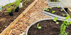 Rooftop Garden - RAW - Xplorioâ„¢ Greyton