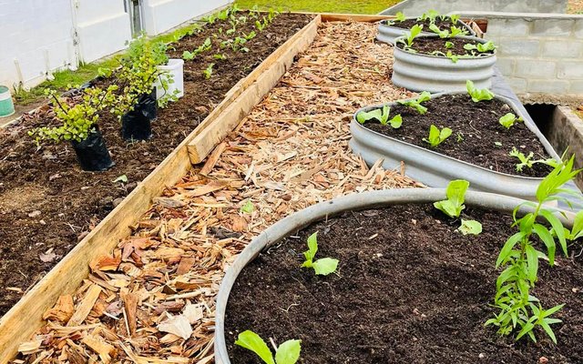 Rooftop Garden - RAW - Xplorioâ„¢ Greyton