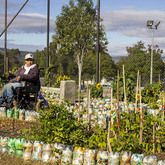 Making Garden - Youth CafÃ© Villiersdorp- Xplorioâ„¢ Villiersdorp