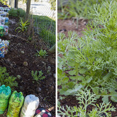 Garden With Disabled Members - Youth CafÃ© Villiersdorp- Xplorioâ„¢ Villiersdorp