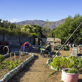 Garden For Community - Youth CafÃ© Villiersdorp- Xplorioâ„¢ Villiersdorp