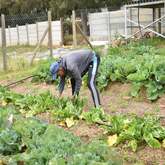 Youth CafÃ© Villiersdorp - Xplorioâ„¢ Villiersdorp