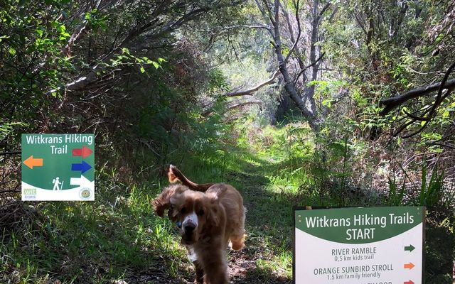 Witkrans Hiking Trails