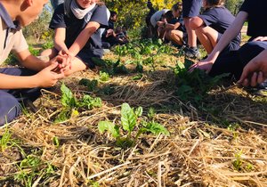 Weekly Enrichment Class: Checking On Our Spinach