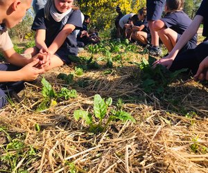 Weekly Enrichment Class: Checking On Our Spinach