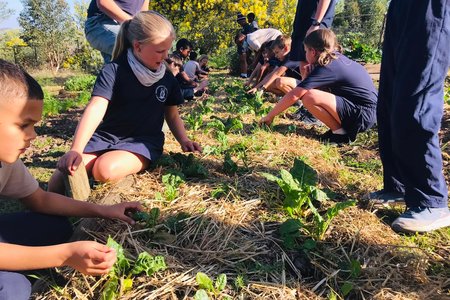 Enrichment Class - RAW - Xplorioâ„¢ Greyton