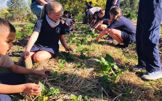 Enrichment Class - RAW - Xplorioâ„¢ Greyton