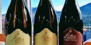 288545231_5579209735444275_425010473074609673_n_1655276989