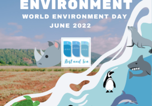 World Environment Day - 5 June 2022
