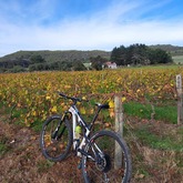 Gansbaai Mountain Bike Rides & Routes - Mountain biking - Xplorioâ„¢ Gansbaai