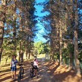 Gansbaai Mountain Bike Rides & Routes - Mountain biking - Xplorioâ„¢ Gansbaai