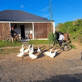 Gansbaai Mountain Bike Rides & Routes - Mountain biking - Xplorioâ„¢ Gansbaai