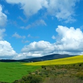 Chas Everitt Bredasdorp - Xplorioâ„¢ Bredasdorp