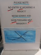 Paint Products for Indoor Decor Projects