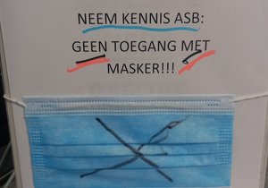 Paint Products for Indoor Decor Projects