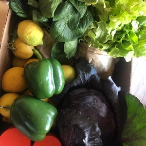 Veggie box - RAW - Xplorioâ„¢ Greyton