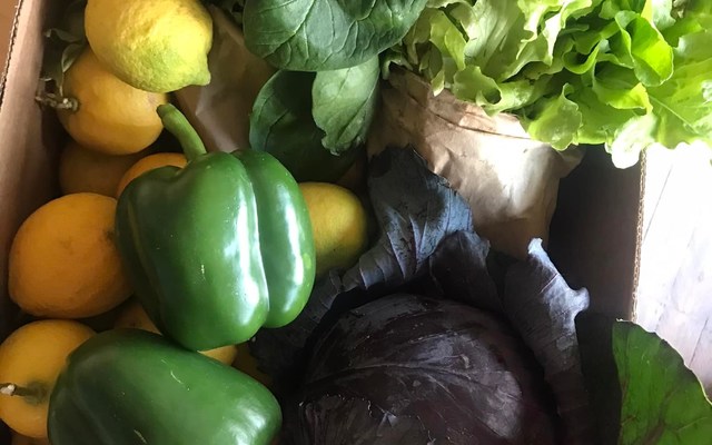 Veggie box - RAW - Xplorioâ„¢ Greyton