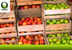 Appels is Regdeur die Jaar Beskikbaar in Suid-Afrika