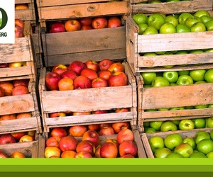 Appels is Regdeur die Jaar Beskikbaar in Suid-Afrika