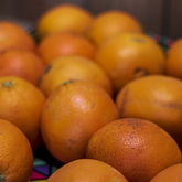 Oranges - RAW - Xplorioâ„¢ Greyton