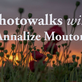 Photo walks - Annalize Mouton Photography - Xplorioâ„¢ Stanford