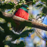 Bird - Riaan Jacobs Photography - Xplorioâ„¢ Gansbaai