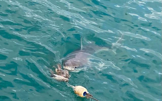 WhatsApp_Image_2022_06_25_at_5.15.32_PM_1656317032