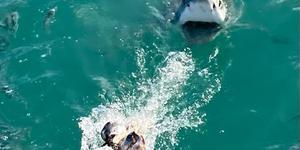 WhatsApp_Image_2022_06_26_at_1.41.37_PM_1656317034