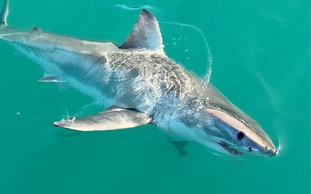 WhatsApp_Image_2022_06_26_at_1.41.39_PM_1_1656317034