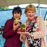 Toys For Children - Gansbaai Market / Gansbaai Mark - Xplorioâ„¢ Gansbaai 