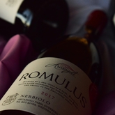 Wine Bottle - Arcangeli Wines - Xplorioâ„¢ Botrivier