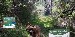 Hiking Trail options from Witkrans