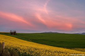 We Love Winter Sunsets in Caledon!