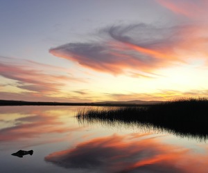 We Love Winter Sunsets in the Nuwejaars Wetlands!