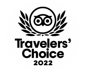 TripAdvisor Travellers Choice Award
