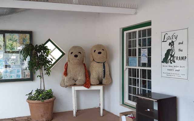 Store - Lady & The Tramp - d Lodge - Xplorioâ„¢ Greyton