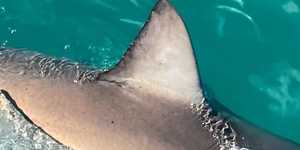 290340074_5329566367081835_7320051587225379672_n_1657016373