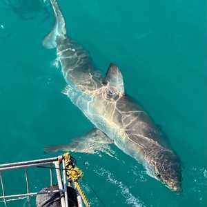 290582476_5329565930415212_3422060557137990310_n_1657016372