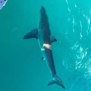 290988389_5329567630415042_565784160458989390_n_1657016371