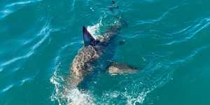 292216910_5329566913748447_7426774057764095676_n_1657016373