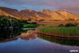 Do You Want To Know A Secret About The Sun?