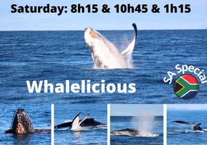 Next Dyer Island Marine Big 5 Tour: 9 JulyÂ 2022