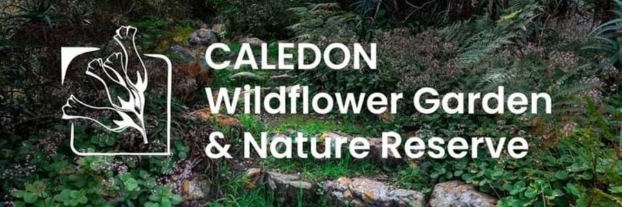 Logo - Caledon Wildflower Garden - Xplorioâ„¢ Caledon