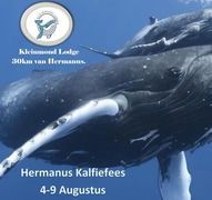 4 - 9 August 2022: Hermanus Kalfiefees