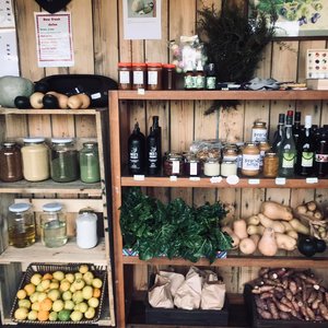 Store - RAW - Xplorioâ„¢ Greyton