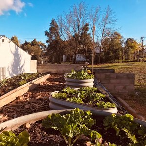 Rooftop - RAW - Xplorioâ„¢ Greyton