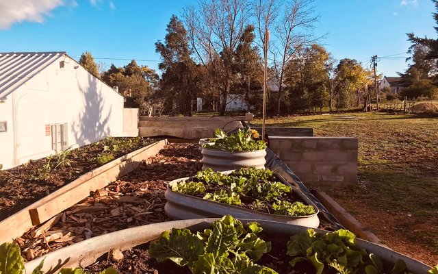 Rooftop - RAW - Xplorioâ„¢ Greyton