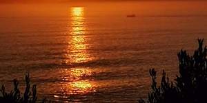 WhatsApp_Image_2022_07_17_at_5.53.02_AM_1_1658136246