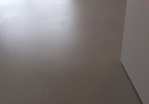 Budget-Friendly Flooring Option