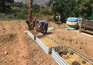 Our Community Garden is Taking Shape